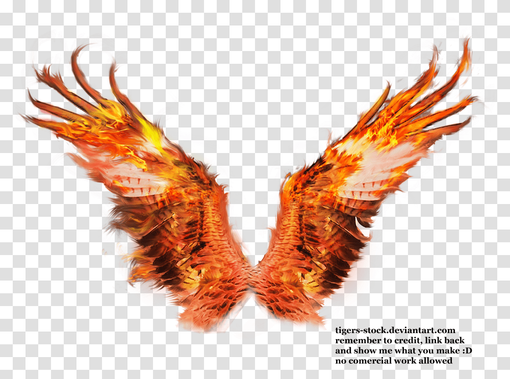 Phoenix Wings Drawing At Phoenix Wings Background Transparent Png