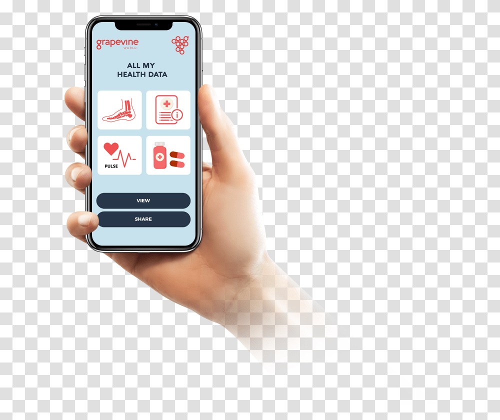 Phone Iphone X Hand, Mobile Phone, Electronics, Cell Phone, Person Transparent Png