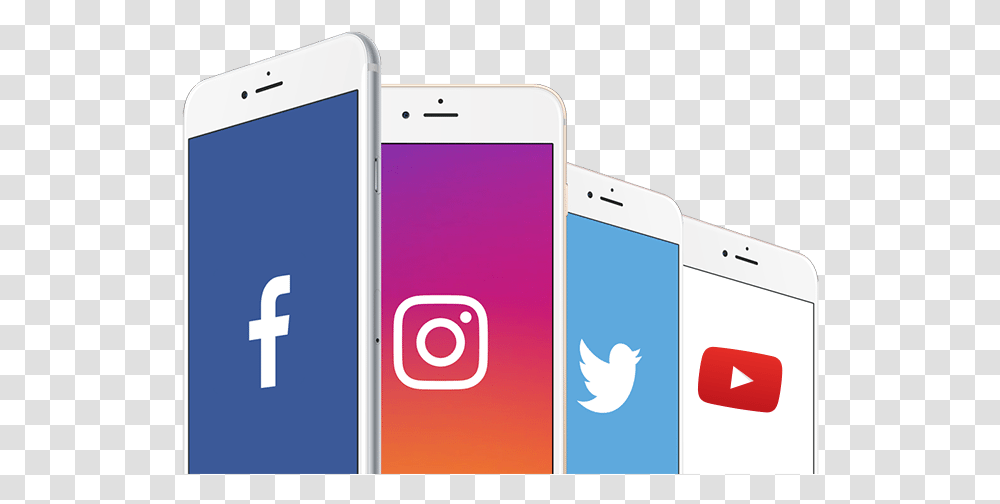 Phone Social Media Social Media On Phone, Mobile Phone, Electronics, Cell Phone, Bird Transparent Png