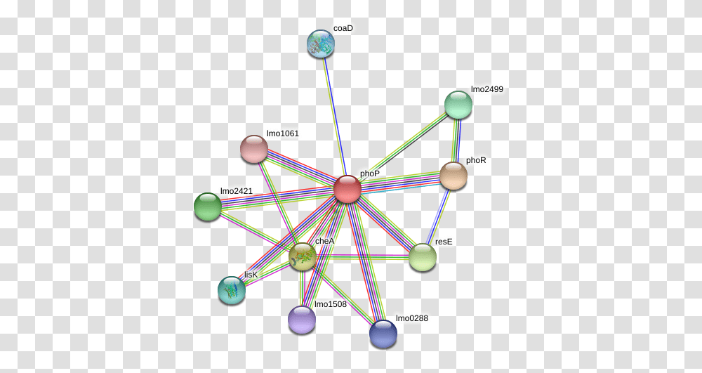 Phop Protein Circle, Bow, Network, Sphere, Diagram Transparent Png