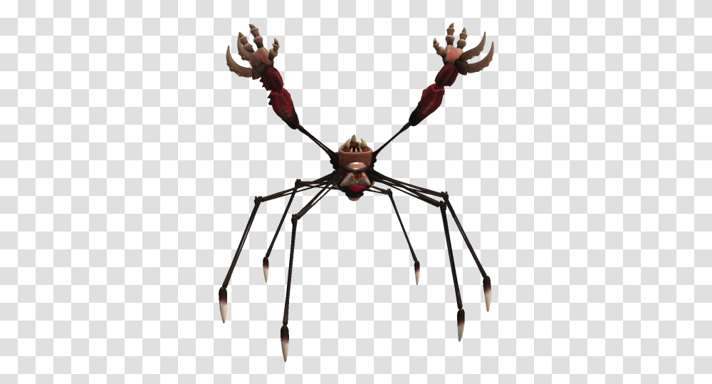 Phorrc Spider, Animal, Invertebrate, Insect, Bow Transparent Png