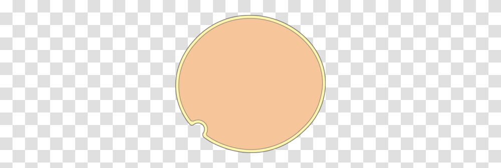 Phospholipid, Oval, Lamp Transparent Png