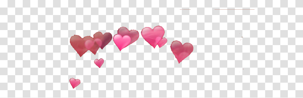 Photo Booth Hearts Heart Around Head, Flower, Plant, Blossom, Petal Transparent Png