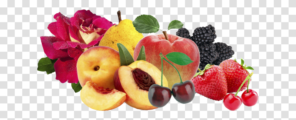 Photo Collage, Plant, Fruit, Food, Apple Transparent Png