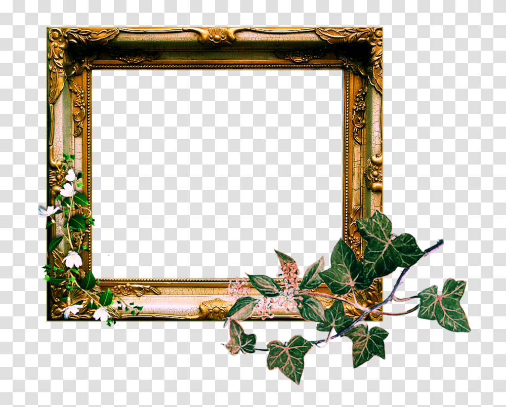 Photo Frame Pictures, Plant, Painting, Mirror Transparent Png