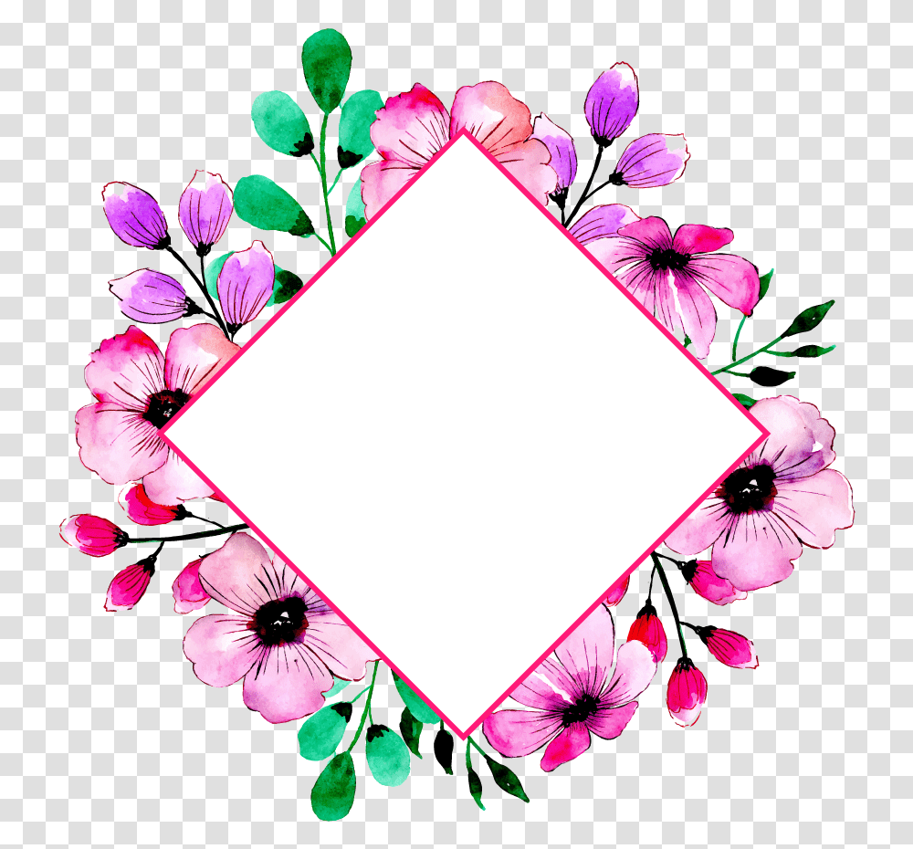 Photo Multi Frame, Plant, Flower, Blossom, Petal Transparent Png