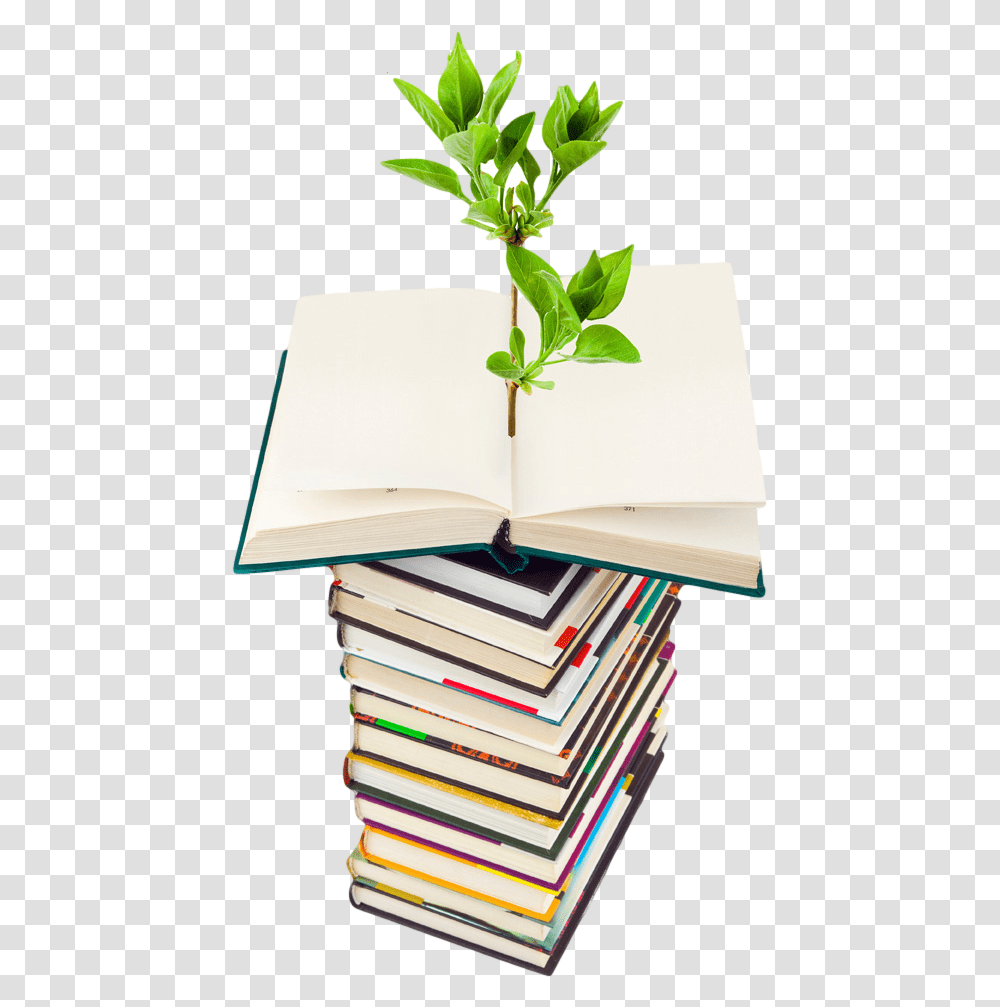 Photo Of Plant Growing From A Stack Of Books Go Green Light Bulb, Novel Transparent Png