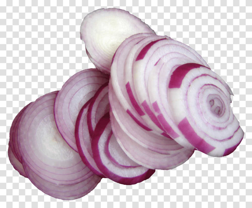 Photo Onion, Plant, Sliced, Food, Vegetable Transparent Png