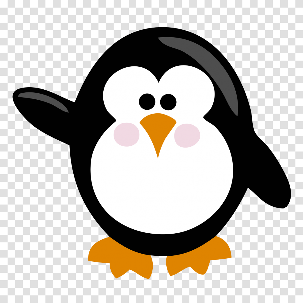 Photo, Penguin, Bird, Animal, King Penguin Transparent Png