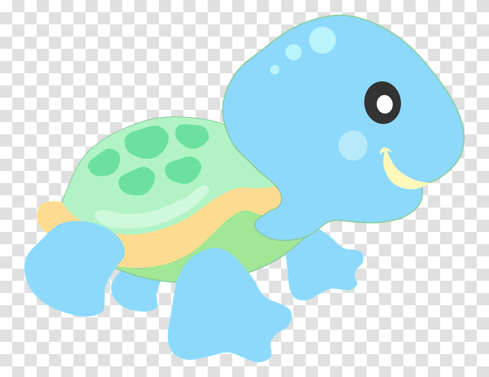 Photo, Tortoise, Turtle, Reptile, Sea Life Transparent Png