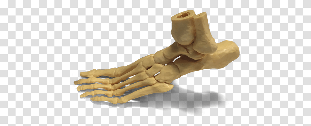 Photocentric Group Skeleton Hand, Arm, Wrist, Injection, Finger Transparent Png