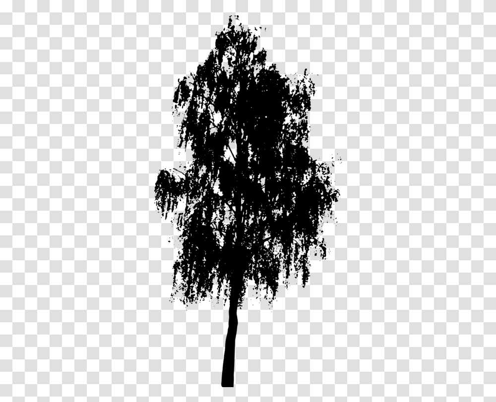 Photography Birch Tree Silhouette, Gray, World Of Warcraft Transparent Png