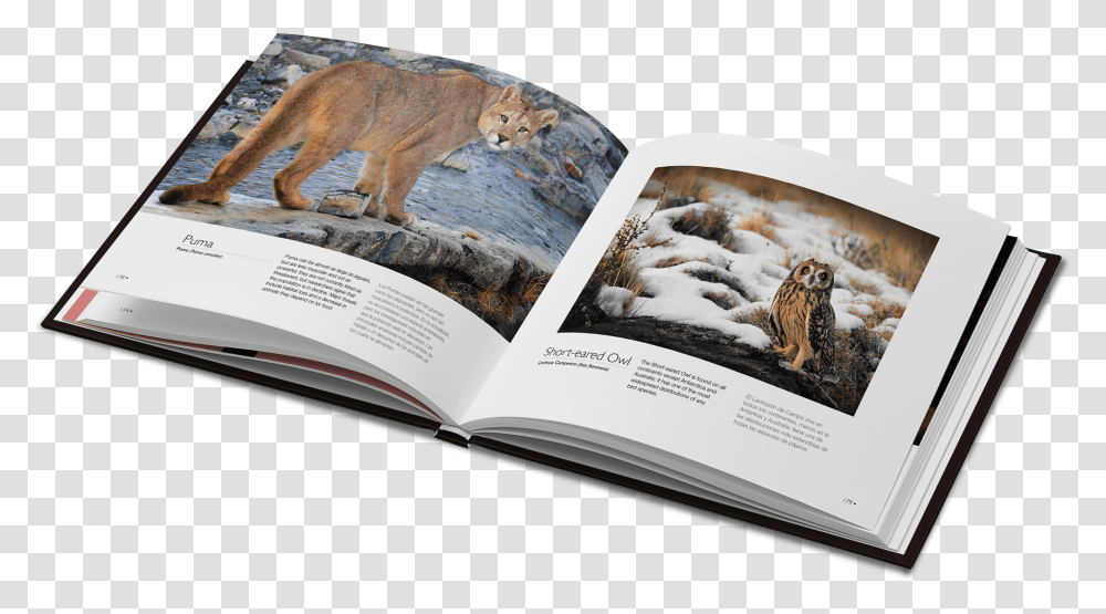 Photography Book Inside Fonts, Animal, Mammal, Canine, Wildlife Transparent Png