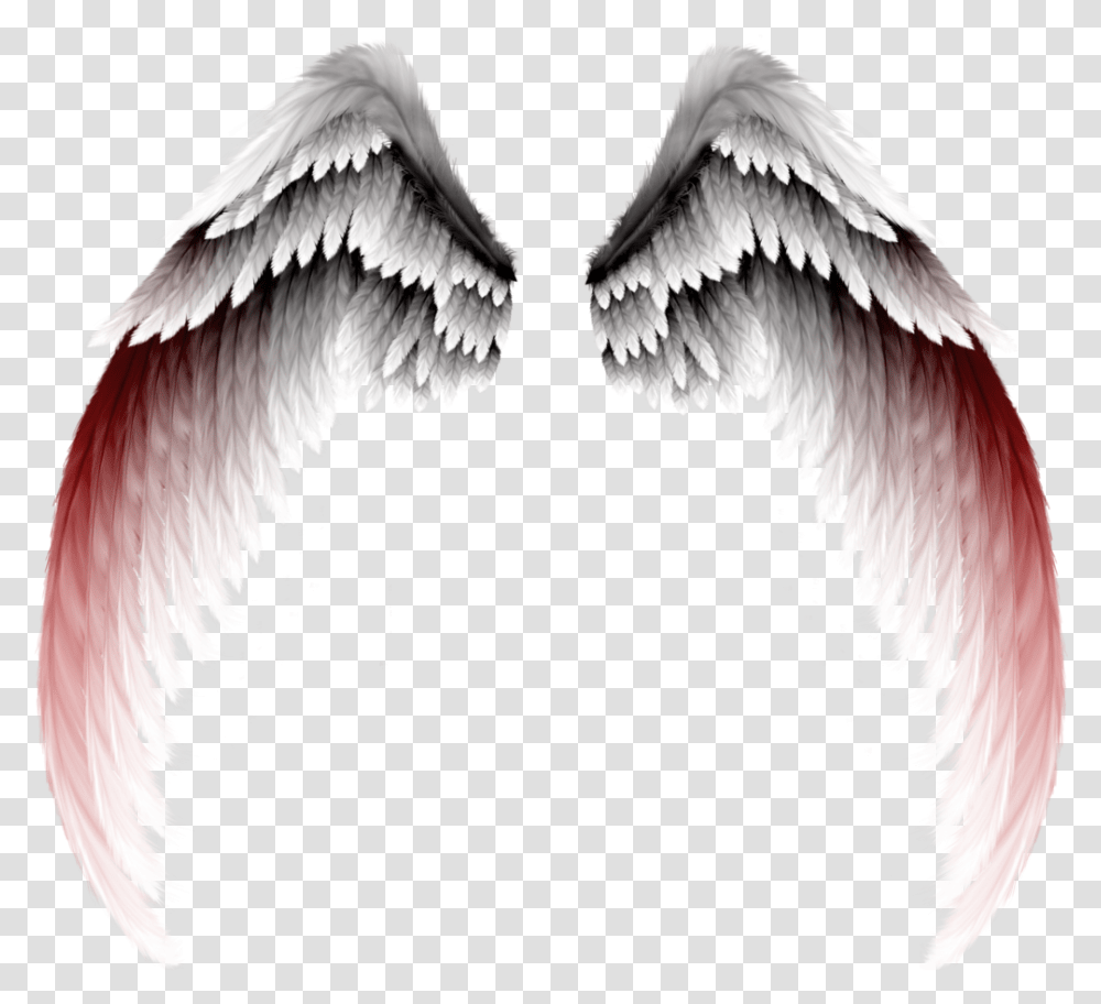 Photography Clipart Eyelash White And Red Angel Wings, Bird, Animal, Archangel Transparent Png