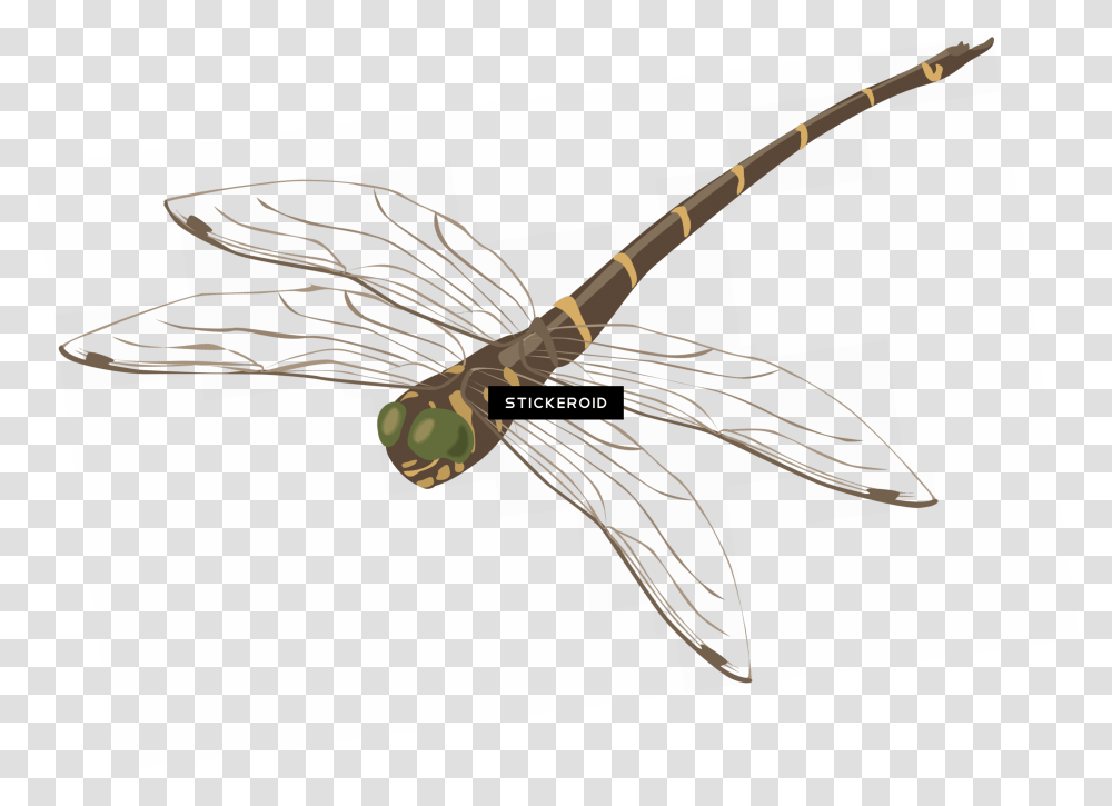 Photography Download Net Winged Insects, Axe, Tool, Arrow Transparent Png
