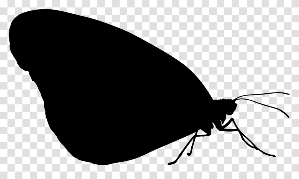 Photography Insect Silhouette, Gray, World Of Warcraft Transparent Png