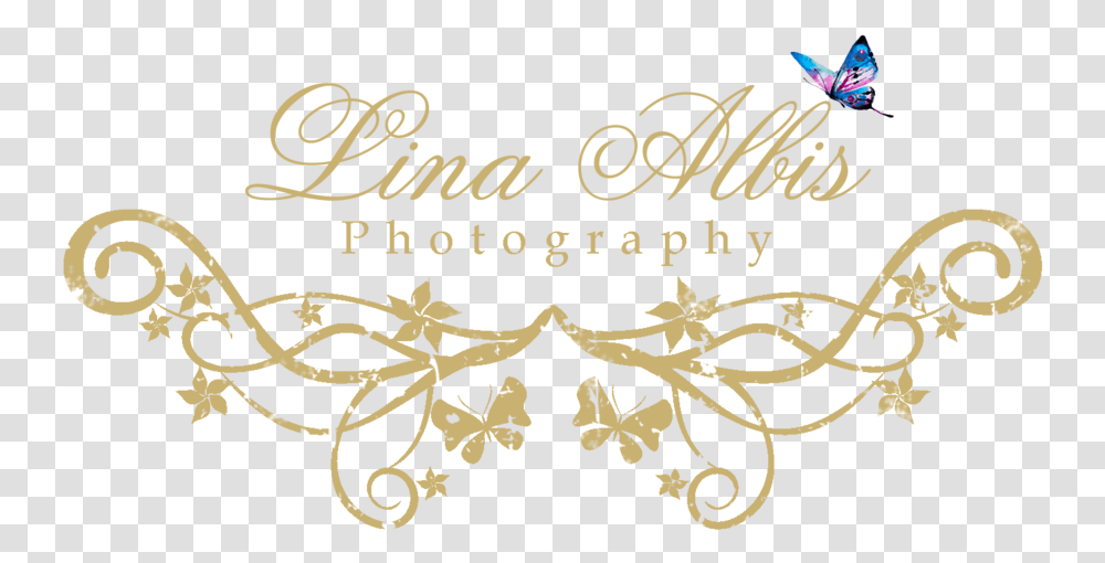 Photography Logo File Calligraphy, Label, Alphabet, Handwriting Transparent Png