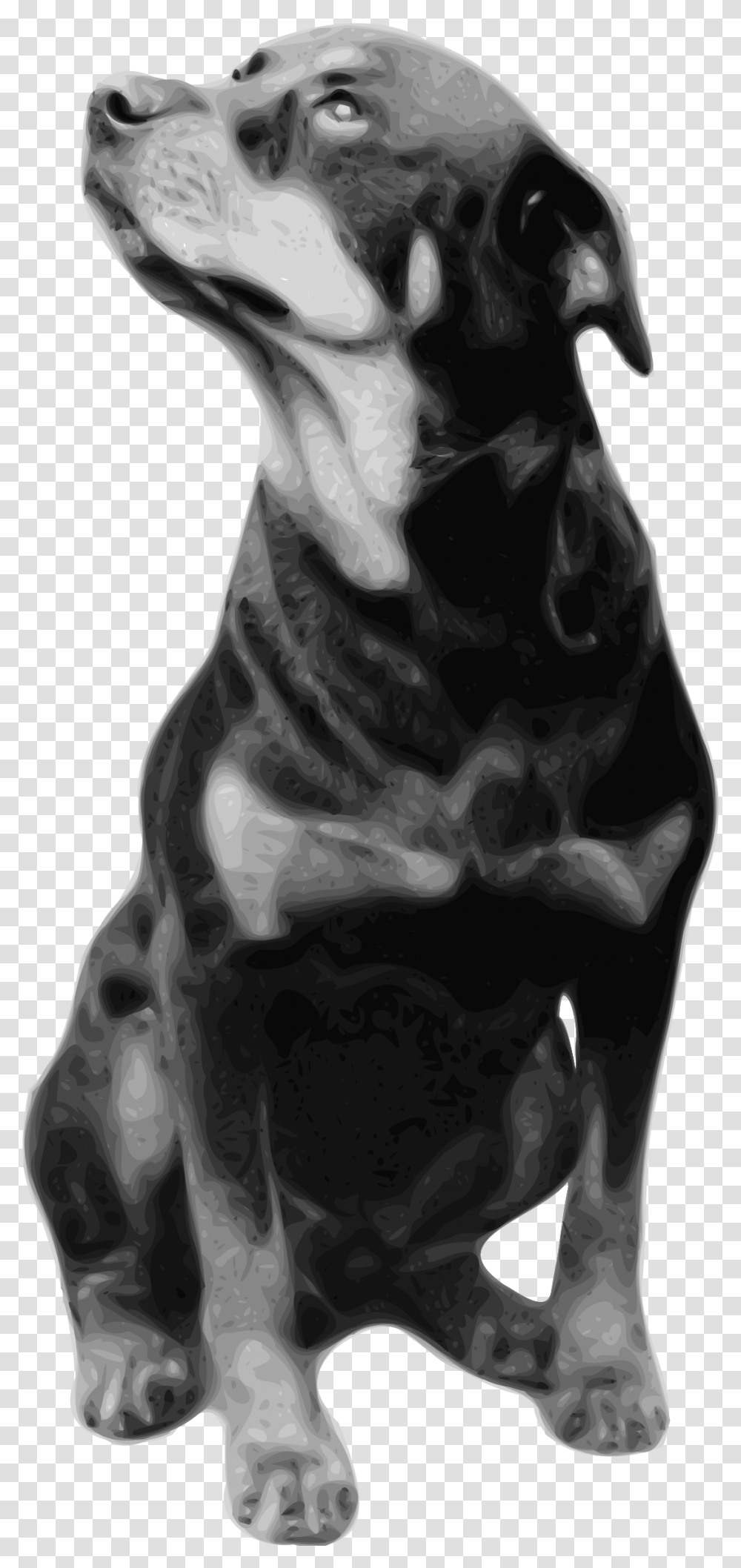 Photorealistic Vector Drawing Of Rottweiler Loss Of A Rottweiler, X-Ray, Medical Imaging X-Ray Film, Ct Scan, Mammal Transparent Png