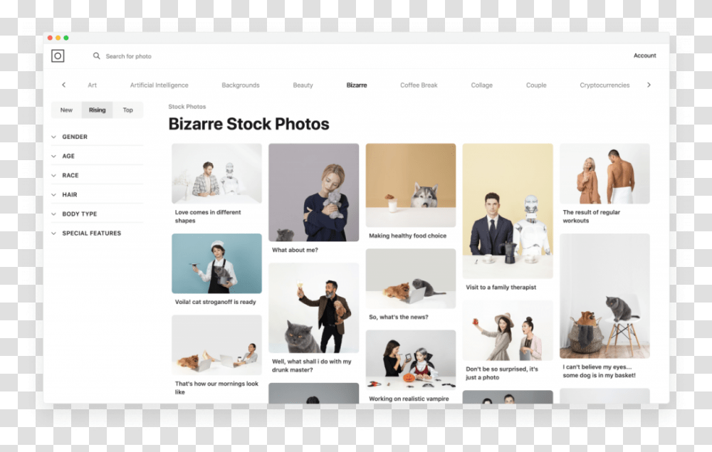Photos 20 Diversity Of Free Customizable Stock Sharing, Person, Bird, File, Webpage Transparent Png