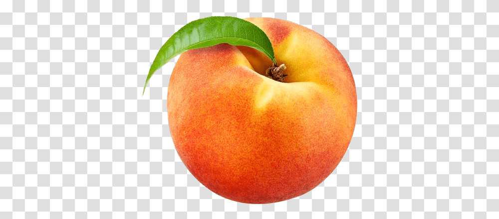 Photos Peach Background Peach Emoji, Plant, Fruit, Food, Produce Transparent Png
