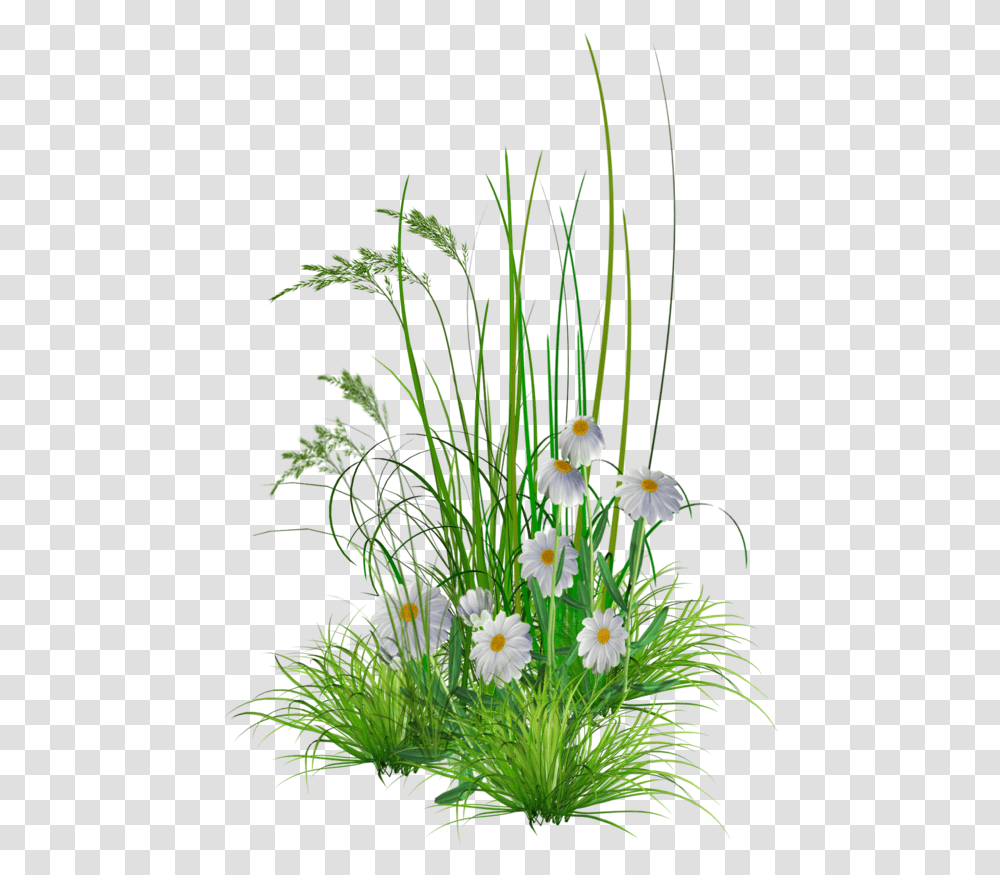 Photos V Garden Flower Grass, Plant, Vase, Jar, Pottery Transparent Png