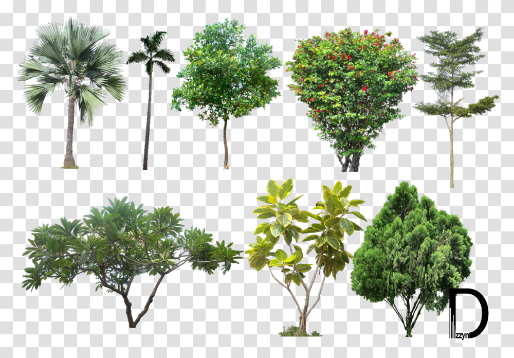 Photoshop Bushes Background High Resolution Trees, Vegetation, Plant, Land, Outdoors Transparent Png