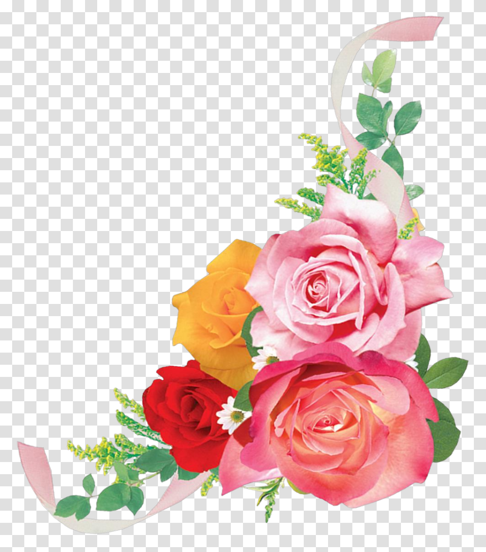 Photoshop Clipart Tamil Birthday Wishes For Son, Plant, Flower, Blossom, Rose Transparent Png