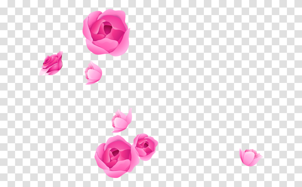 Photoshop Flower Adobe Portable Rose Graphics Border Flowers For Photoshop, Plant, Blossom, Petal, Carnation Transparent Png