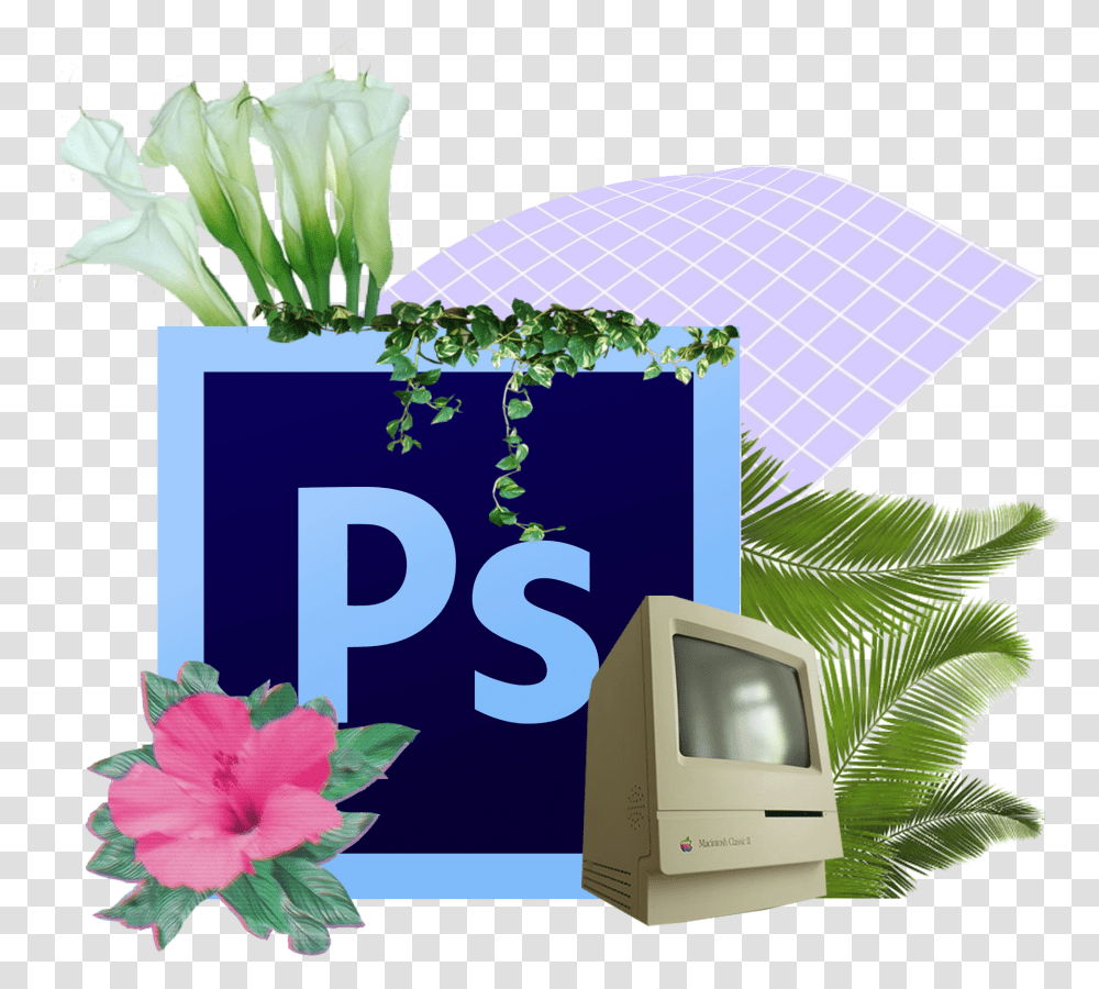 Photoshop Icon, Screen, Electronics, Monitor, Display Transparent Png