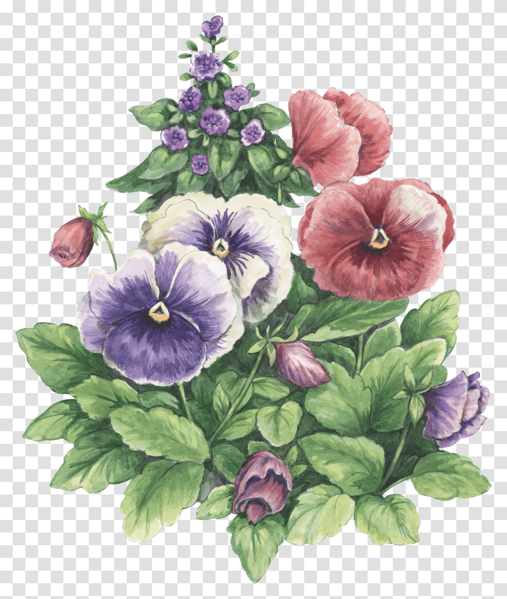 Photoshop Papo Decoupage Pictures Of Flowers Colouring Background Watercolor Flower, Plant, Blossom, Floral Design Transparent Png