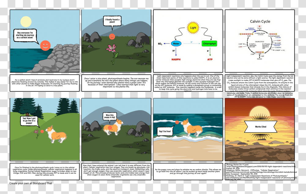 Photosynthesis Calvin Cycle, Comics, Book Transparent Png