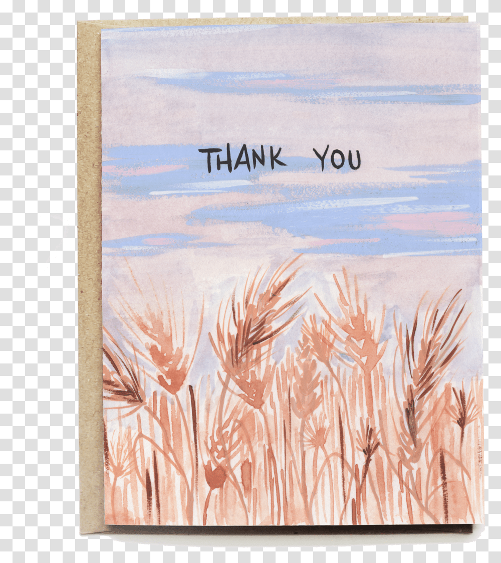 Phragmites, Grass, Plant, Grain Transparent Png