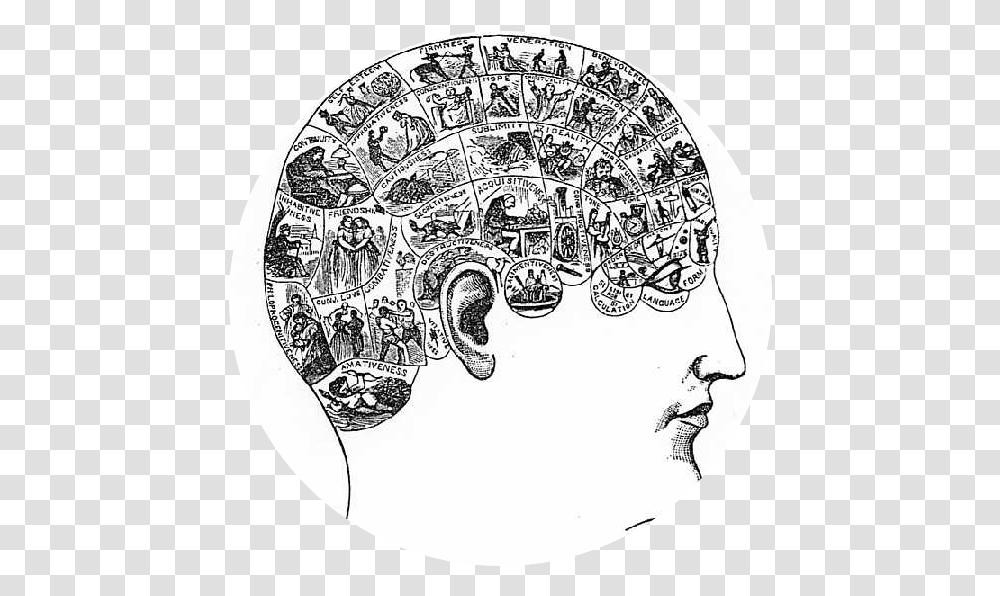 Phrenology Chart, Doodle, Drawing, Rug, Porcelain Transparent Png