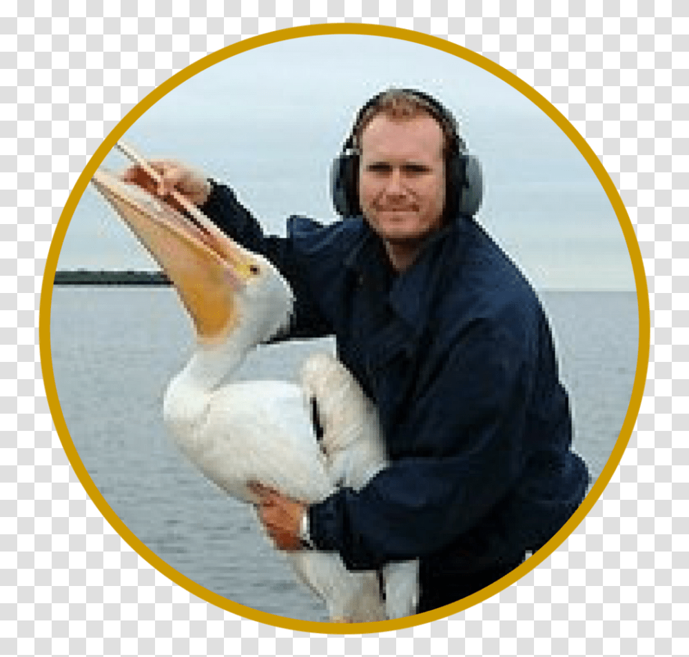 Phstaff Members Circles 8 Pelican, Person, Human, Animal, Bird Transparent Png