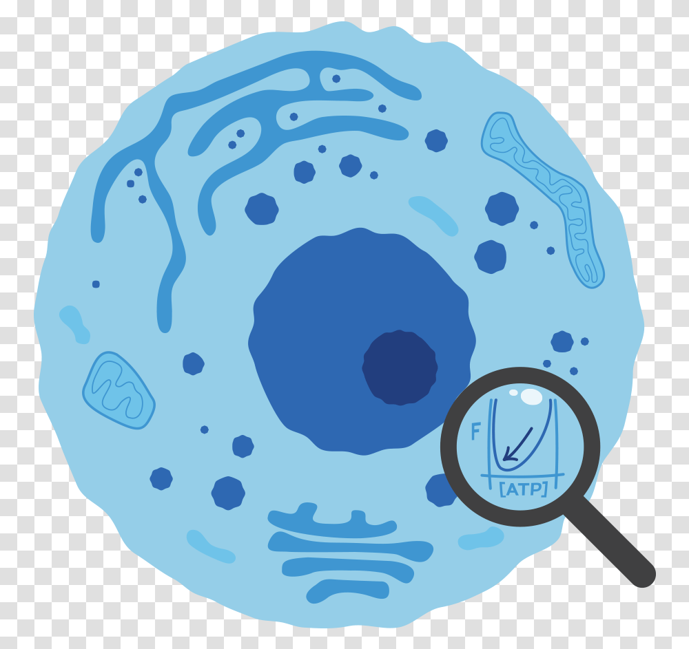 Physical Lens Cell, Paper, Hole Transparent Png