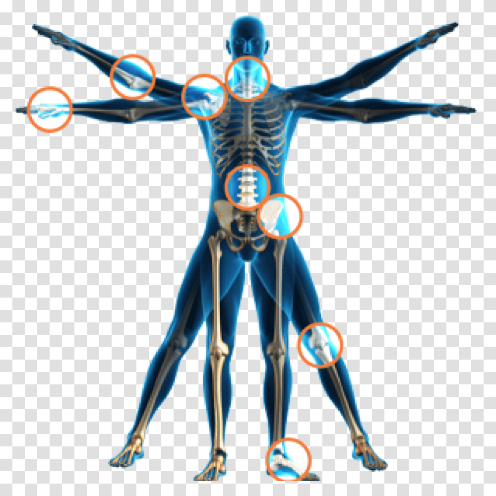 Physical Therapy Health Spinal Adjustment Human Body Physical Therapy, Alien Transparent Png