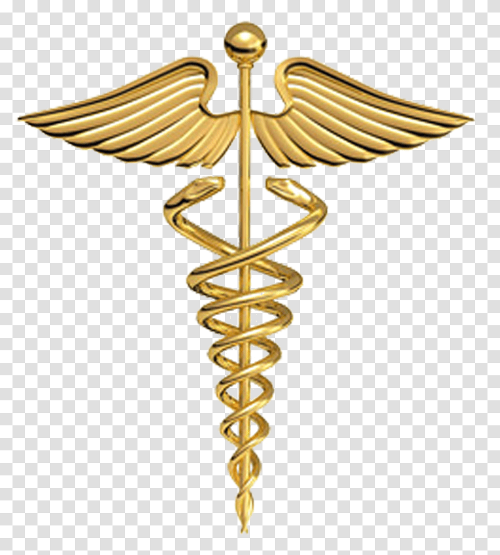 Physician Gold Plate Of Symbol Medicine Hermes Clipart Medical Symbol, Cross, Logo, Trademark, Emblem Transparent Png