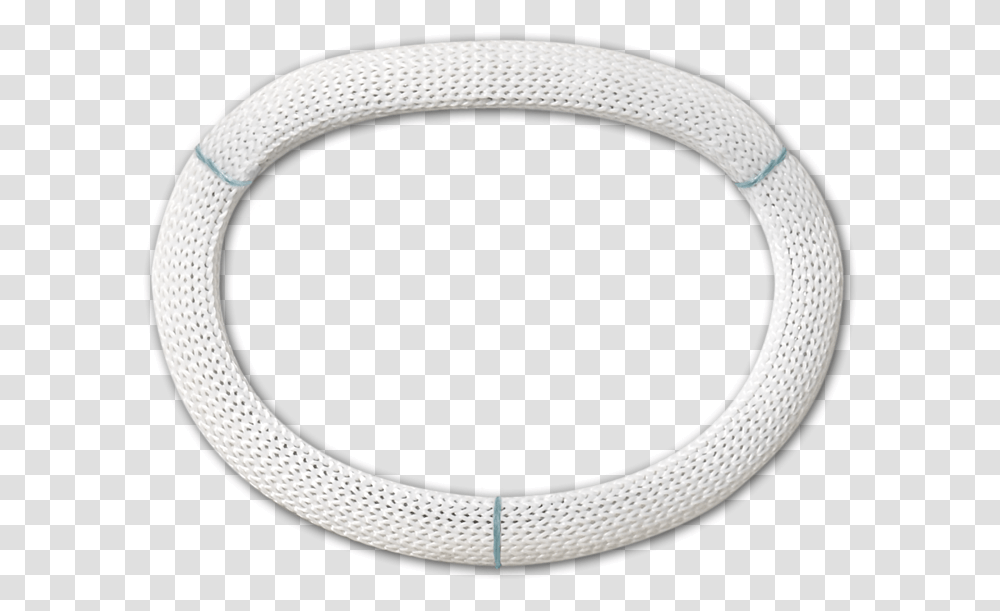 Physio Ii Annuloplasty Ring Physio Ii Ring, Coil, Spiral Transparent Png