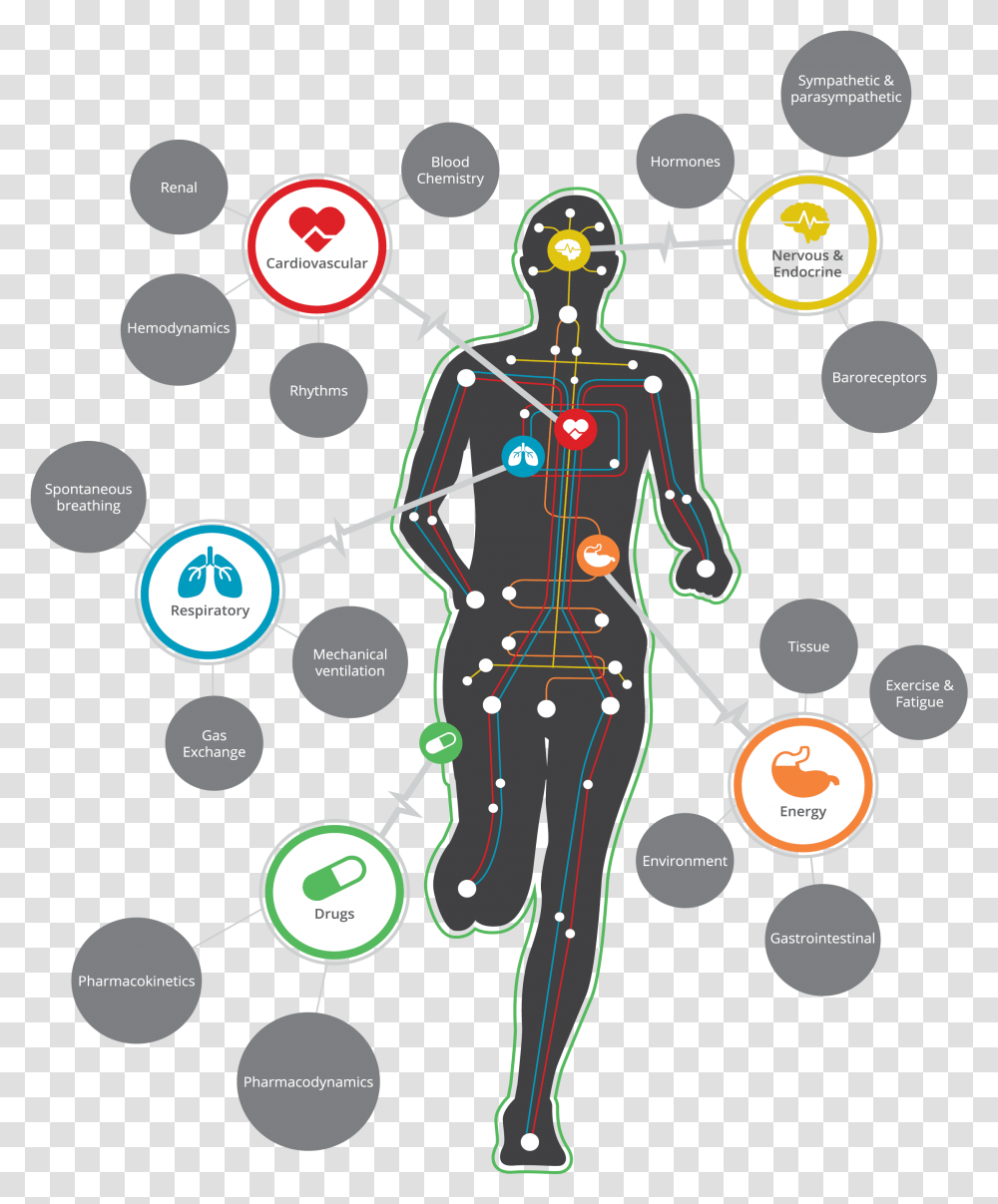 Physiology, Light, Video Gaming, Juggling, Electronics Transparent Png