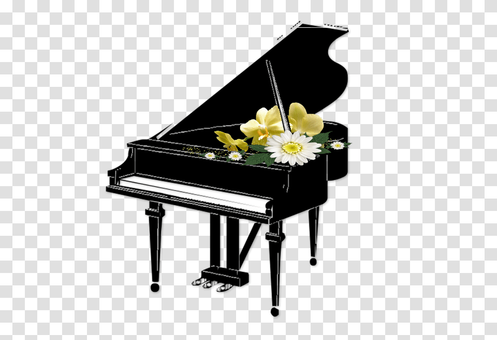 Piano Clipart, Petal, Flower, Plant, Daisy Transparent Png