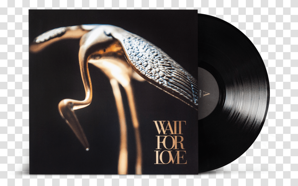Pianos Become The Teeth Wait For LoveClass Pianos Become The Teeth Wait For Love, Bird, Animal, Book, Novel Transparent Png