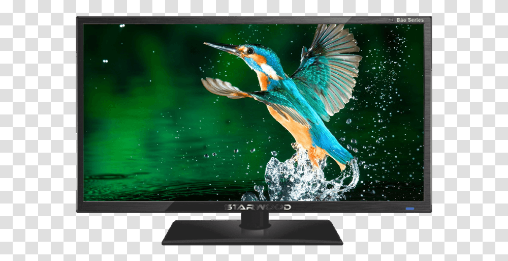 Pic Bird Flying In Water, Monitor, Screen, Electronics, Display Transparent Png