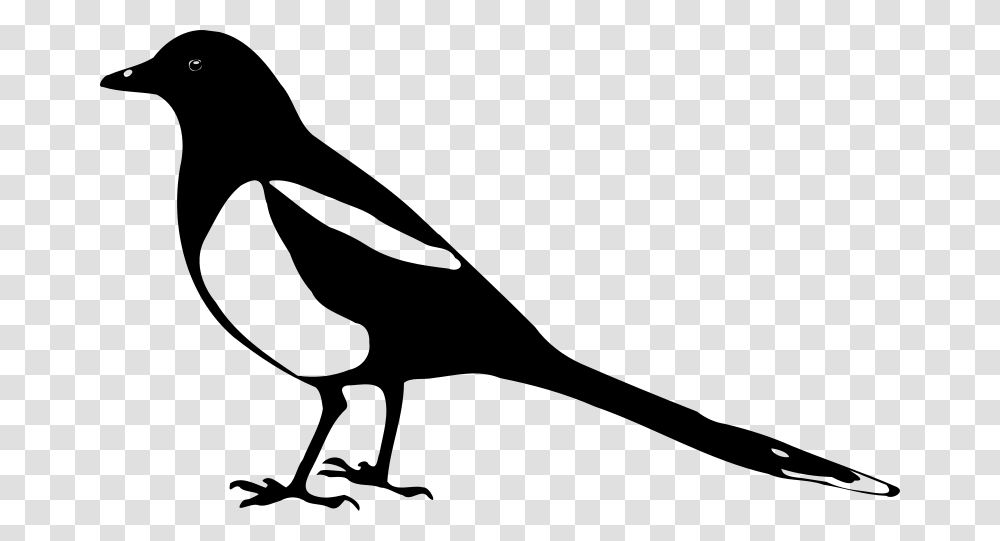 Pica Pica Magpie Silhouette, Animals, Gray Transparent Png