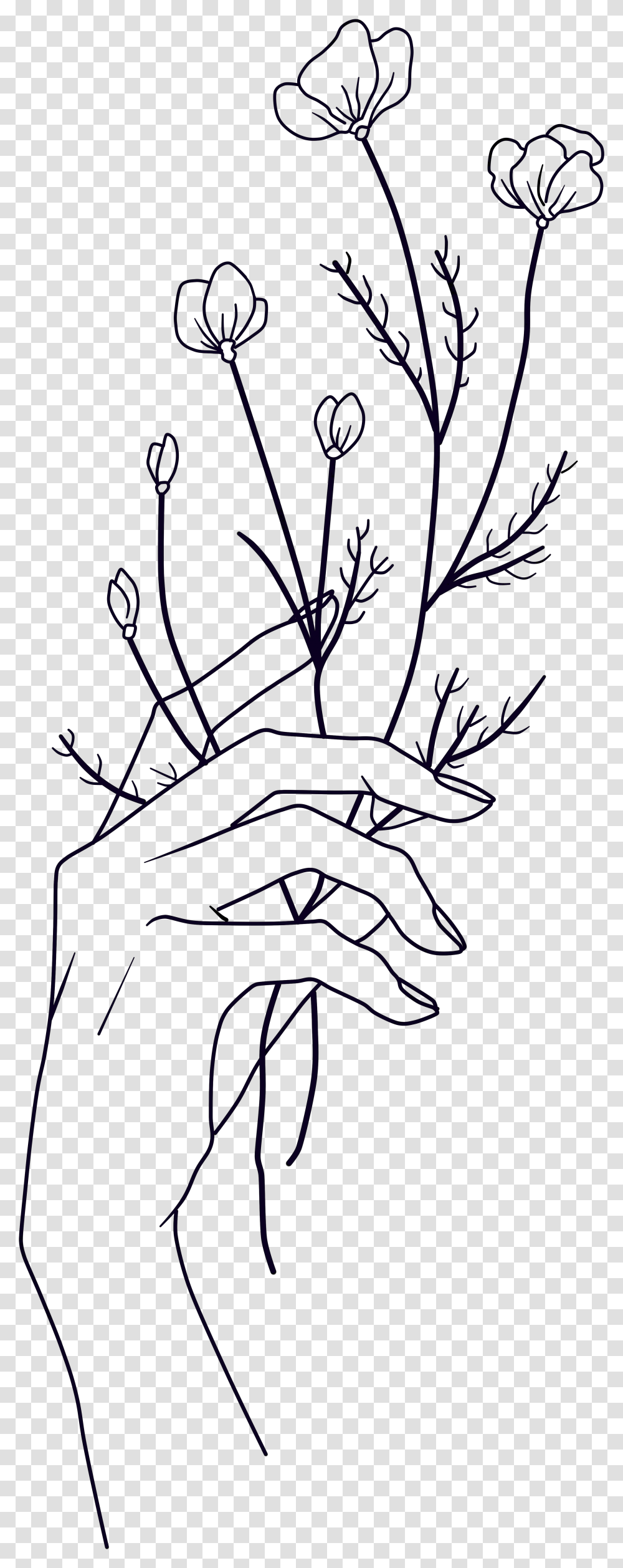 Picasso Clipart, Hand, Plant Transparent Png