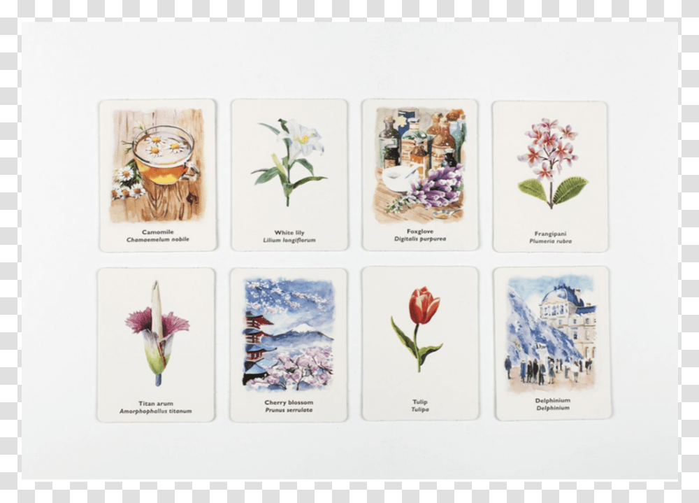 Pick A Flower A Memory Game, Mail, Envelope, Floral Design Transparent Png