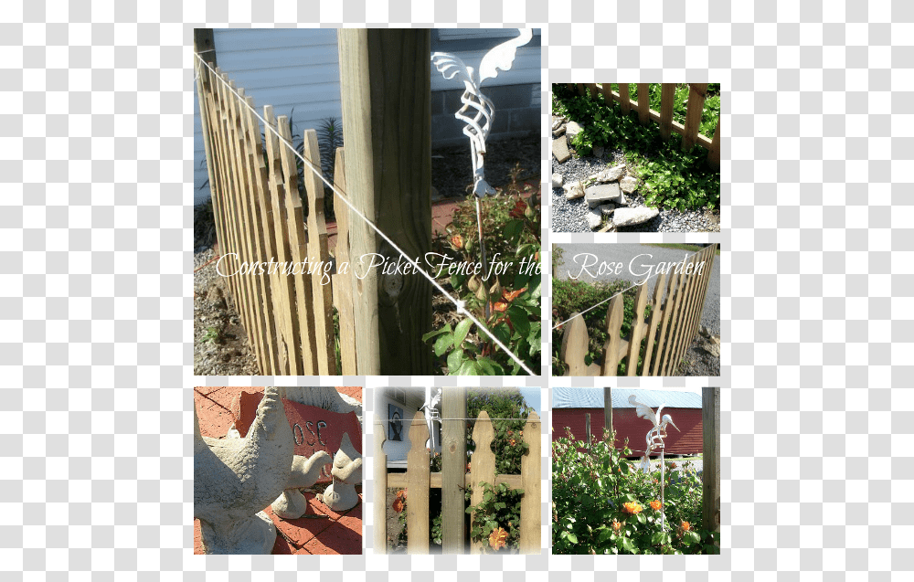 Picket Fence, Collage, Poster, Advertisement, Plant Transparent Png