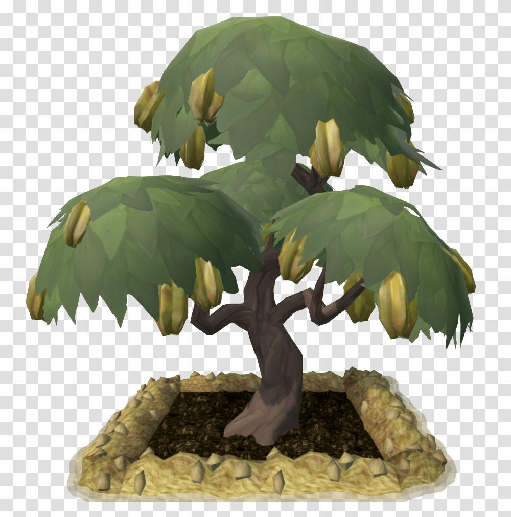 Picking Primal Fruit The Runescape Wiki Chinese Sweet Plum, Tree, Plant, Potted Plant, Vase Transparent Png