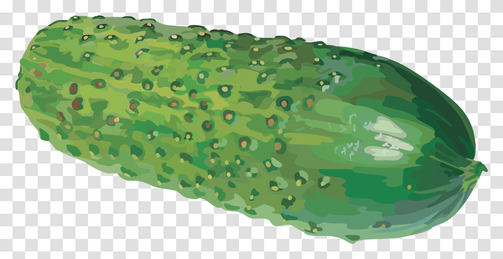 Pickle Clipart Background Cucumber Water Color, Plant, Fruit, Food, Rug Transparent Png