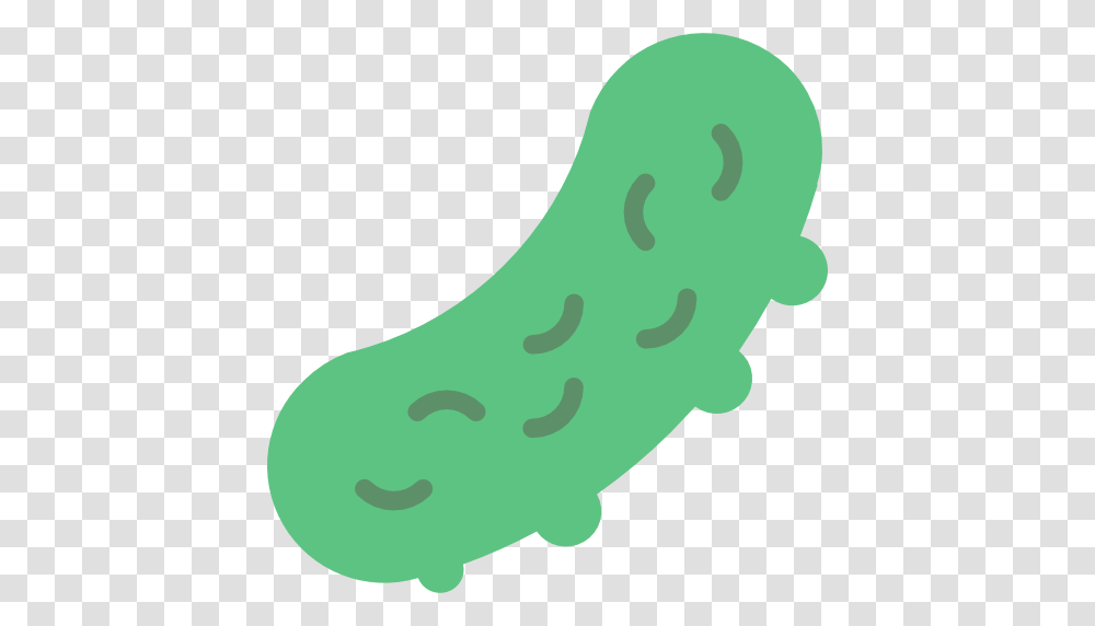 Pickle, Plant, Food, Relish Transparent Png