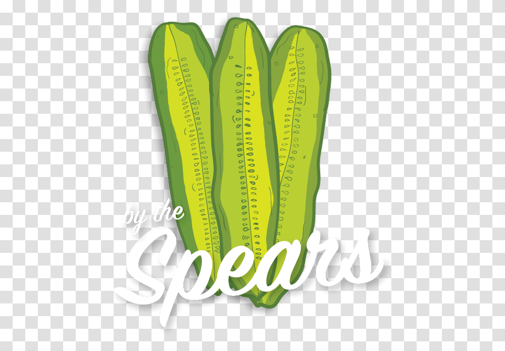 Pickle Spears Illustration Calligraphy, Plant, Vegetable, Food, Algae Transparent Png